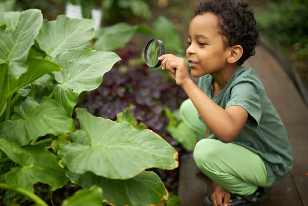 A young boy looking at a plant with a magnifying glass