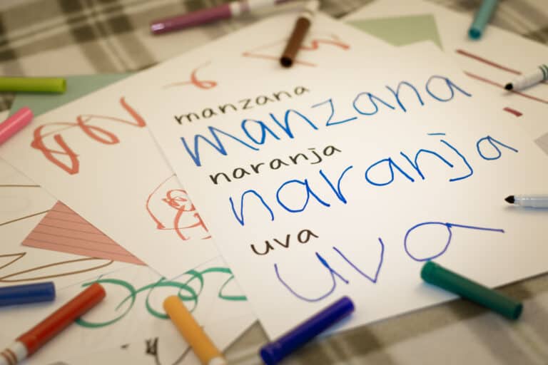 Homeschool World Language Curriculum Miacademy