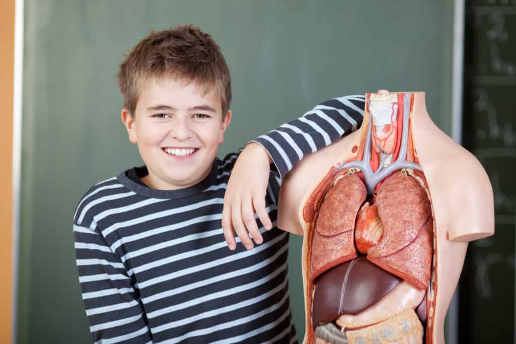 A student poses with a model of the body systems they studied in their life science homeschool curriculum