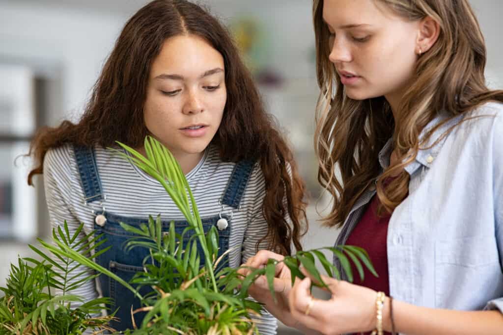 Two students examine a plant while working on their life science homeschool curriculum