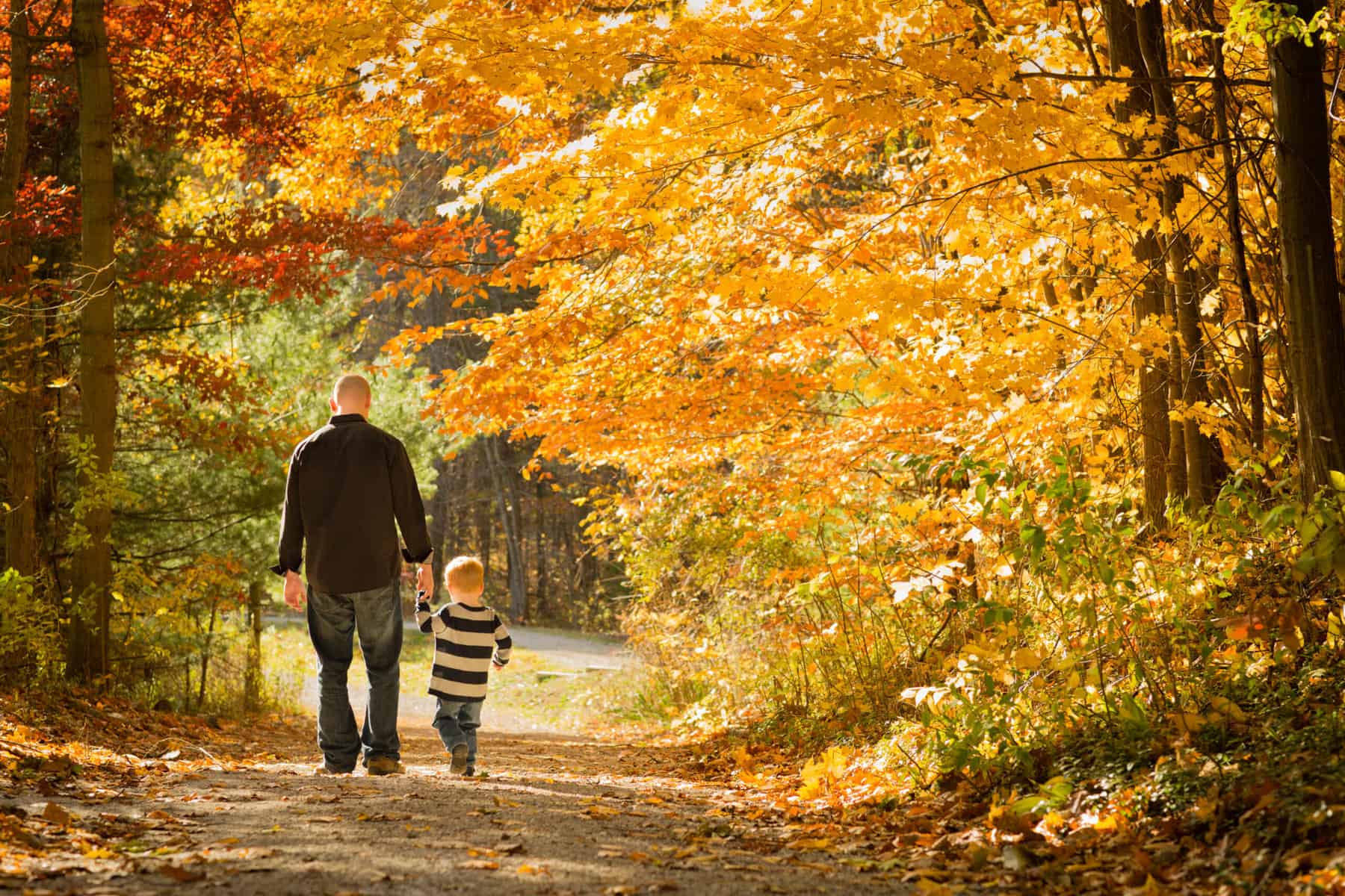 Man walking a forest path with his son