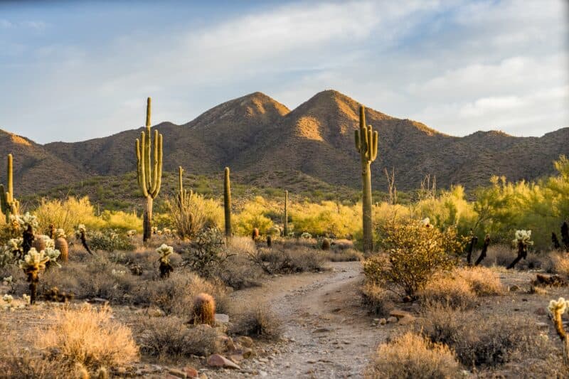 How to Homeschool Legally in Arizona (2026 Update) | 2025-26