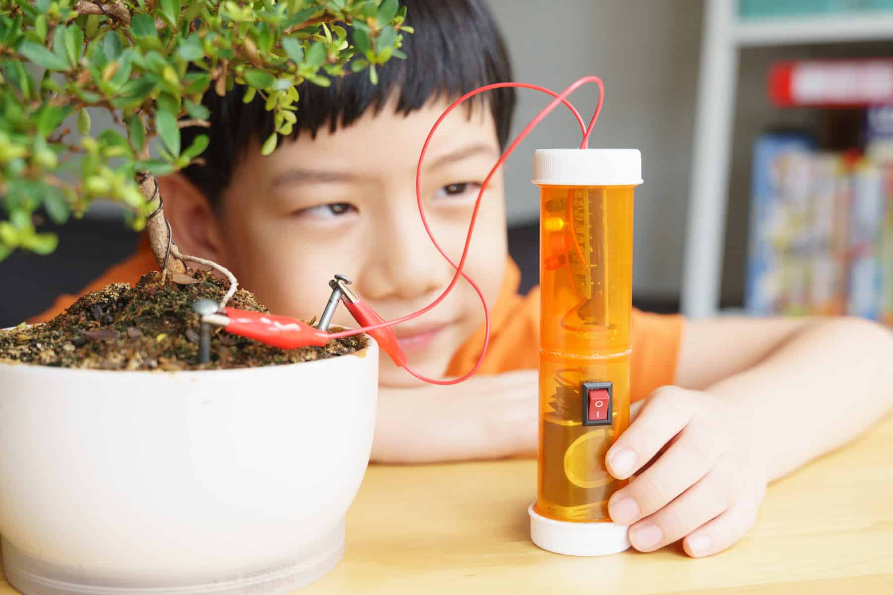 little boy doing a science experiment with a potted plant
