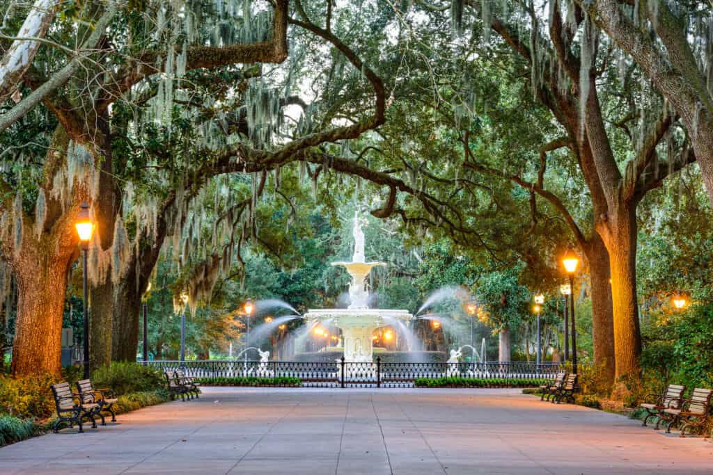 Image of treelined walkway in Savannah, Georgia