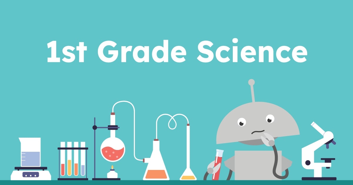 1st Grade Science