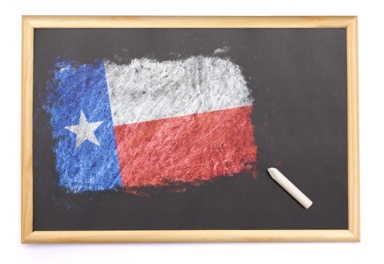 Texas School Choice Voucher Program: TEFA